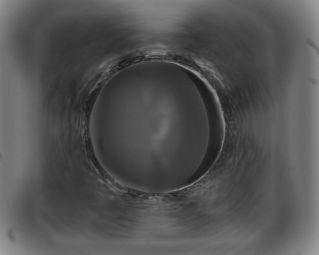 X0000096401445200801311340