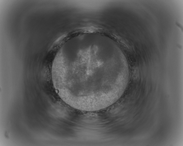 X0000096401446200801311340