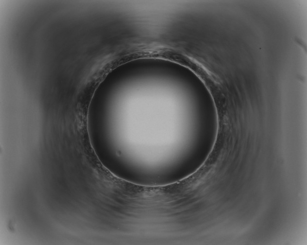 X0000096401447200801311340