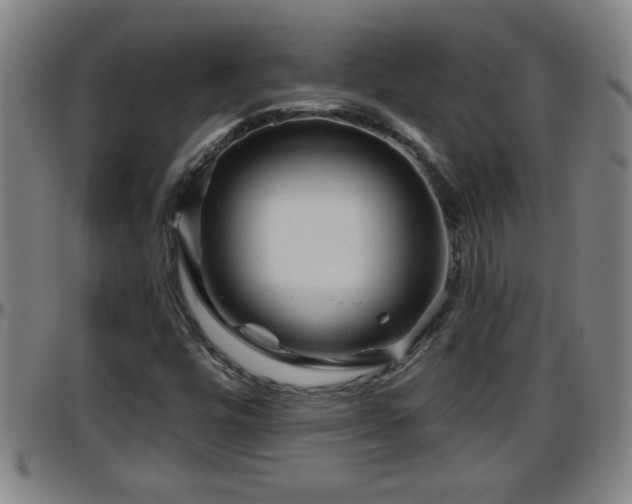 X0000096401448200801311340