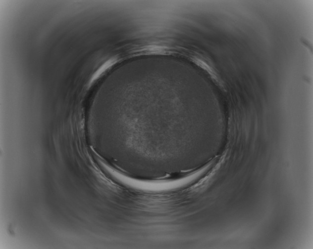 X0000096401450200801311340