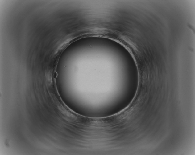 X0000096401451200801311340