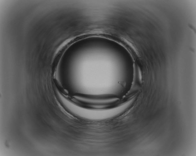 X0000096401452200801311340