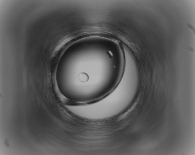 X0000096401453200801311340