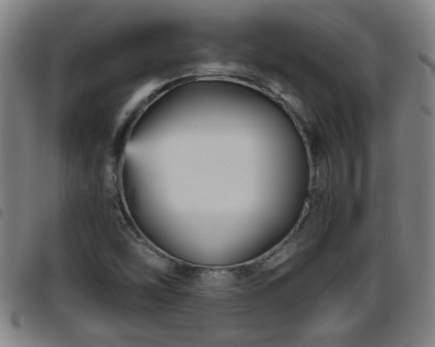 X0000096401454200801311340