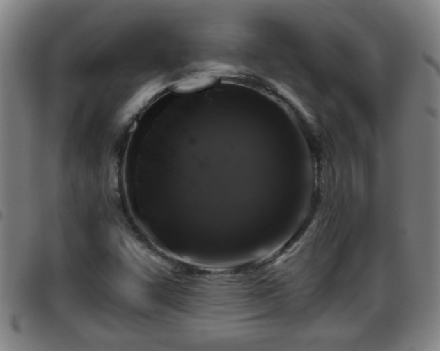 X0000096401455200801311340