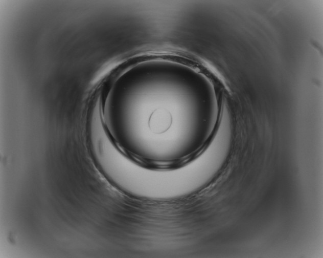 X0000096401456200801311340