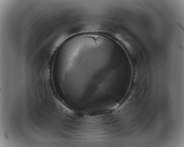 X0000096401459200801311340