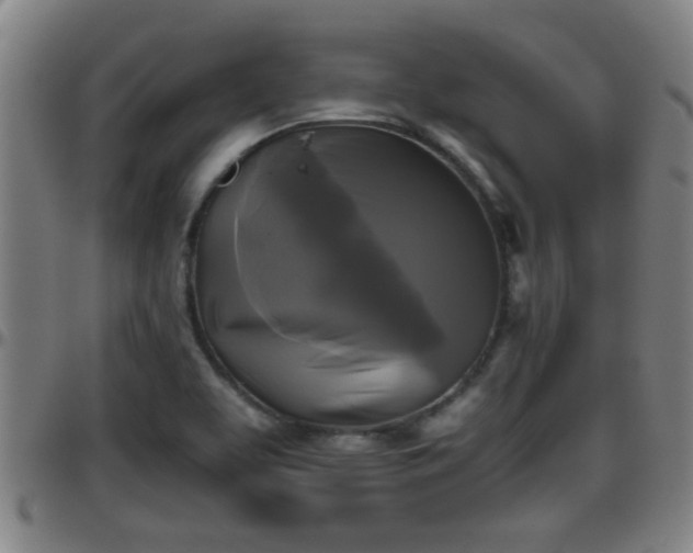 X0000096401463200801311340