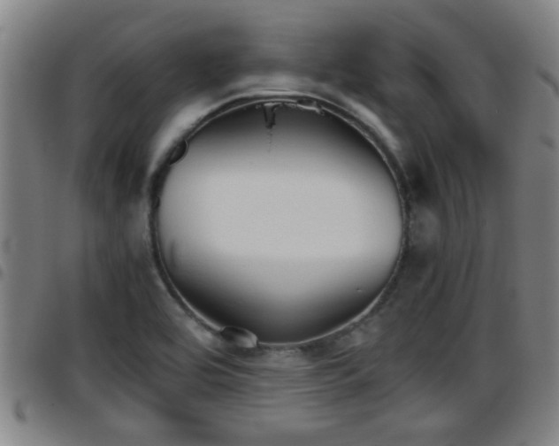 X0000096401464200801311340