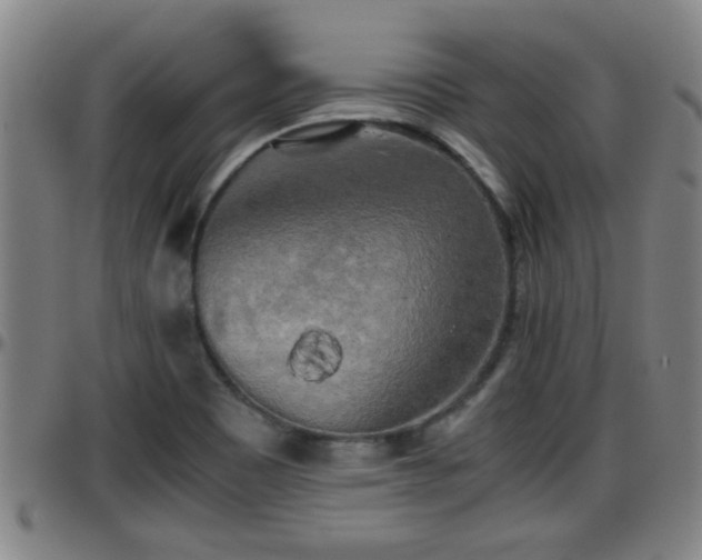 X0000096401465200801311340