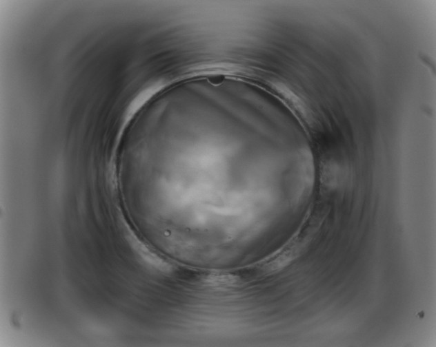 X0000096401466200801311340