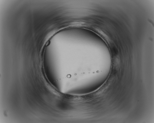 X0000096401467200801311340