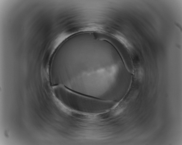 X0000096401468200801311340