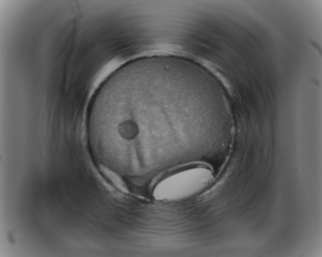 X0000096401469200801311340