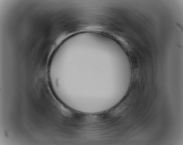 X0000096401470200801311340