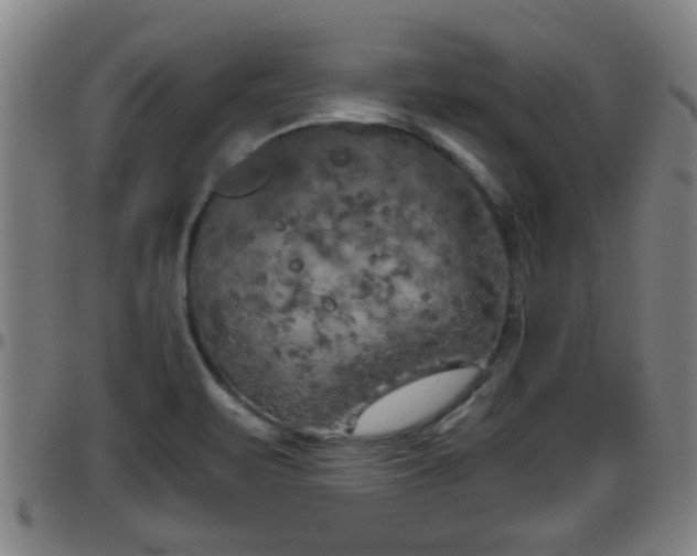 X0000096401471200801311340