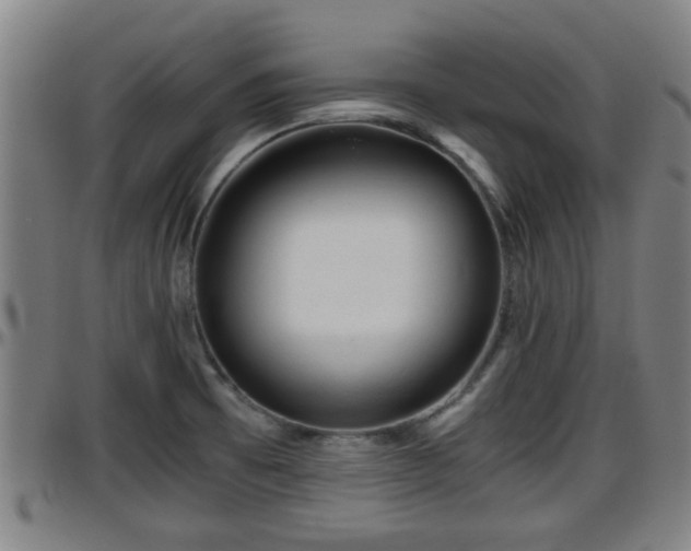 X0000096401473200801311340