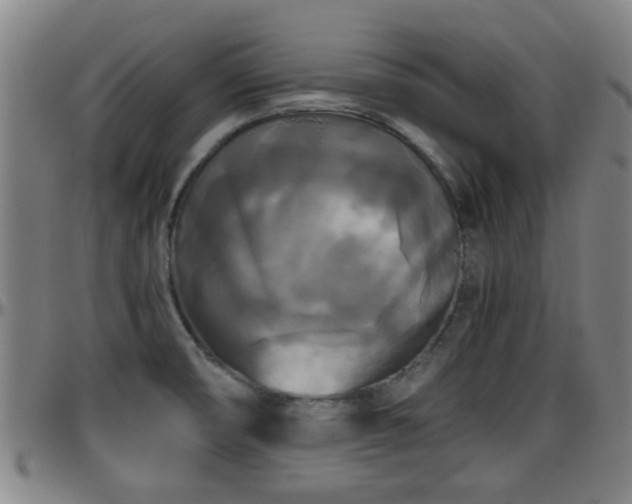 X0000096401474200801311340