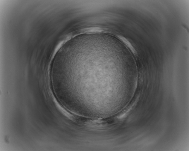 X0000096401475200801311340