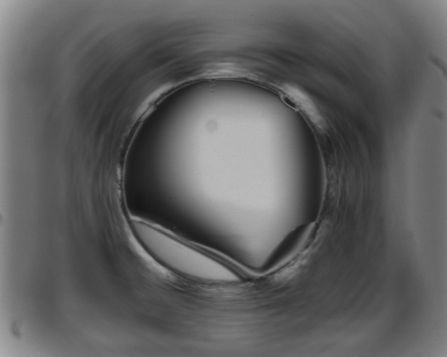 X0000096401476200801311339