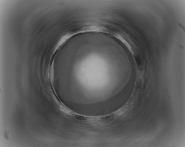 X0000096401477200801311339