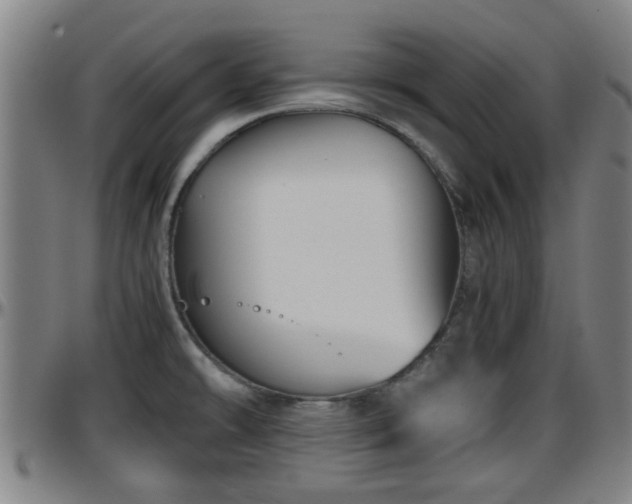 X0000096401478200801311339