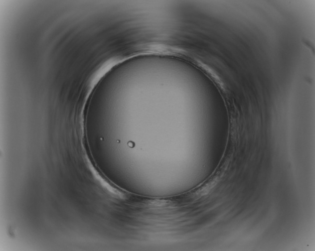 X0000096401479200801311339