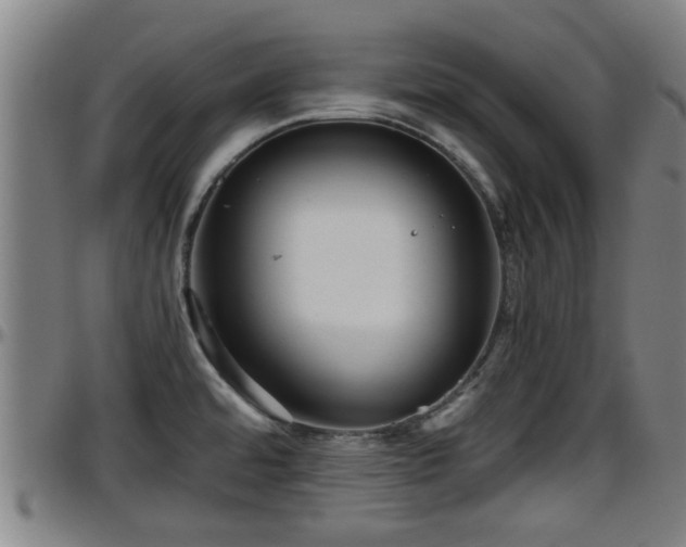 X0000096401480200801311339