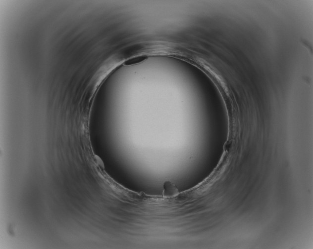 X0000096401481200801311339