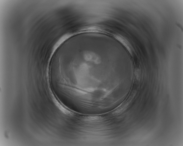 X0000096401482200801311339