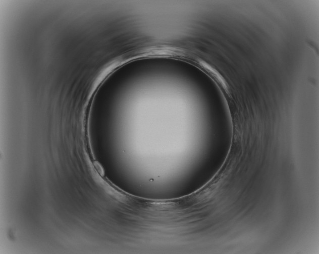 X0000096401483200801311339