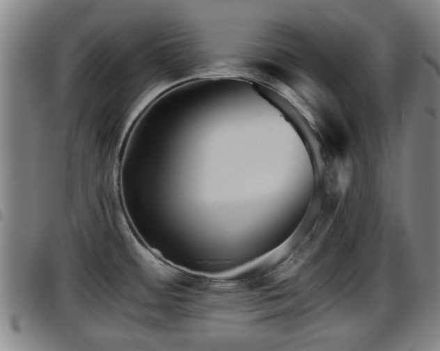 X0000096401484200801311339