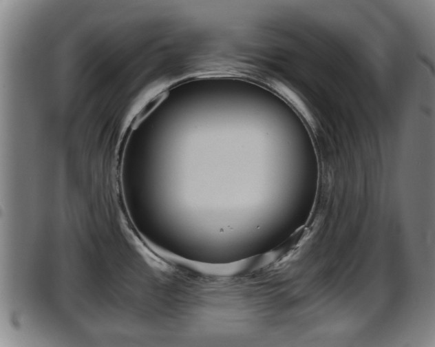 X0000096401485200801311339