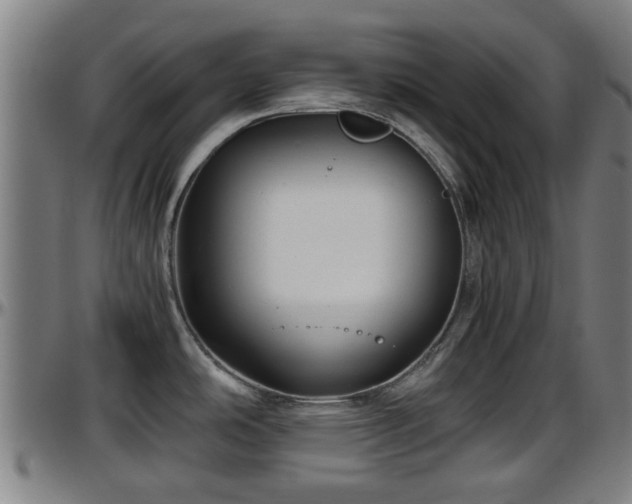 X0000096401486200801311339