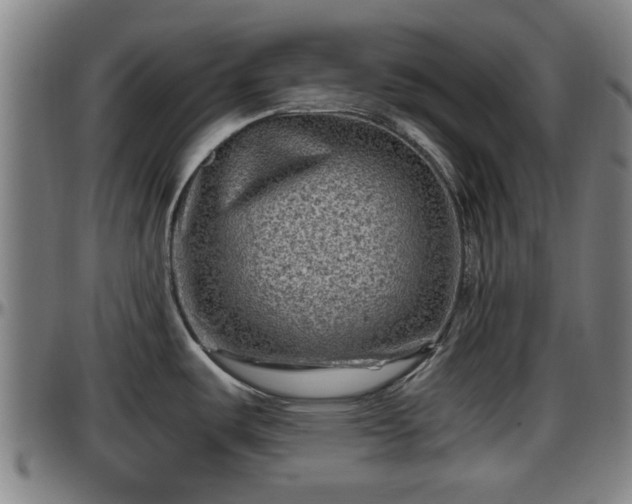 X0000096401487200801311339