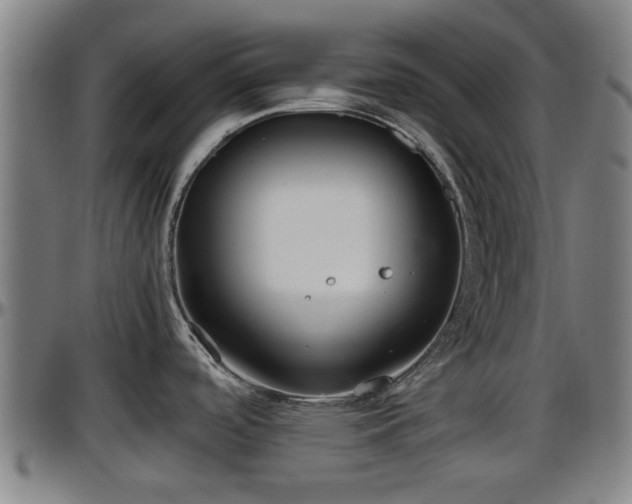 X0000096401488200801311339