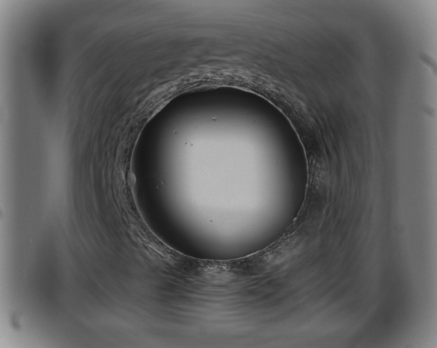 X0000096401489200801311339