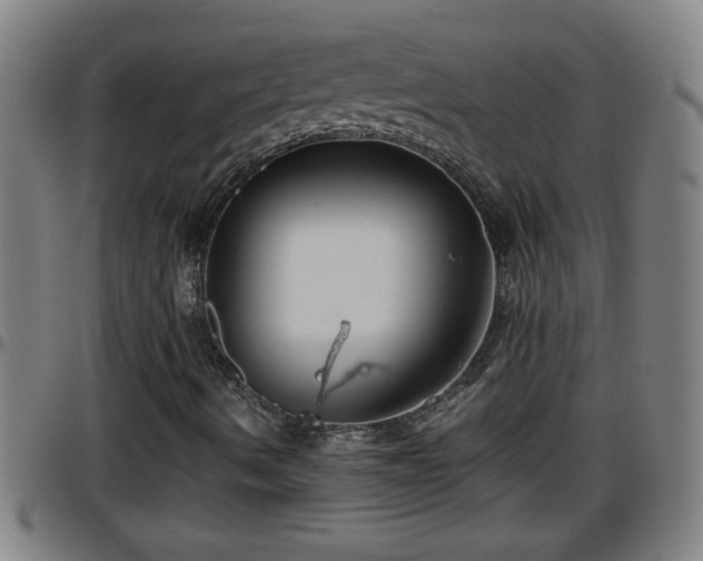 X0000096401490200801311339