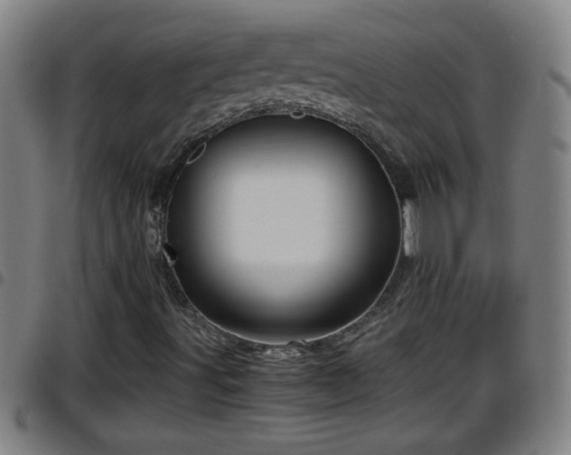 X0000096401491200801311339