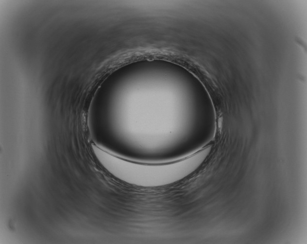 X0000096401492200801311339