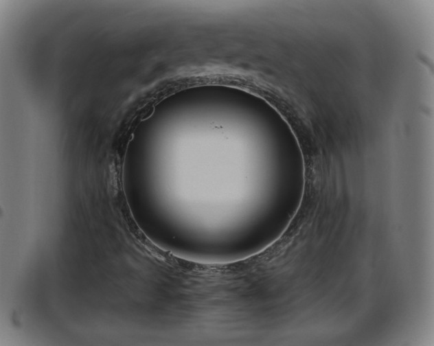 X0000096401493200801311339