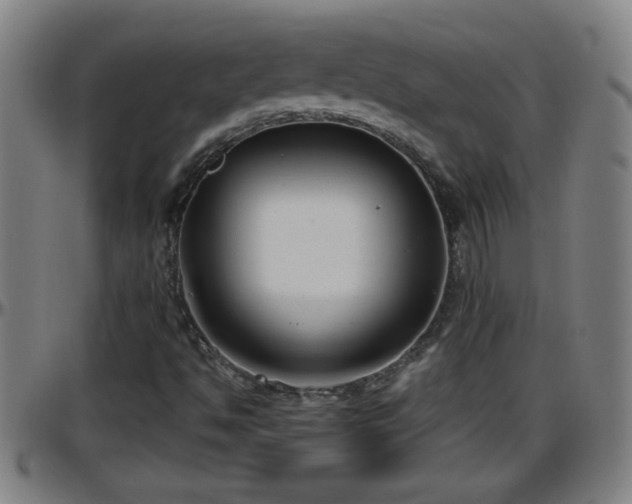 X0000096401494200801311339