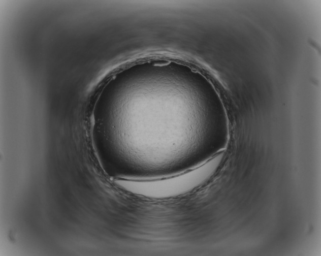 X0000096401496200801311339