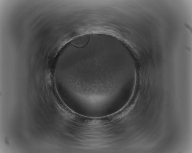 X0000096401497200801311339