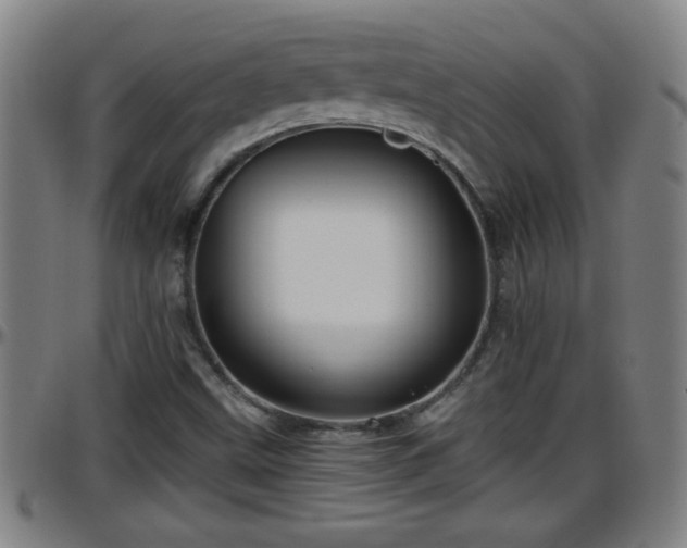 X0000096401499200801311339