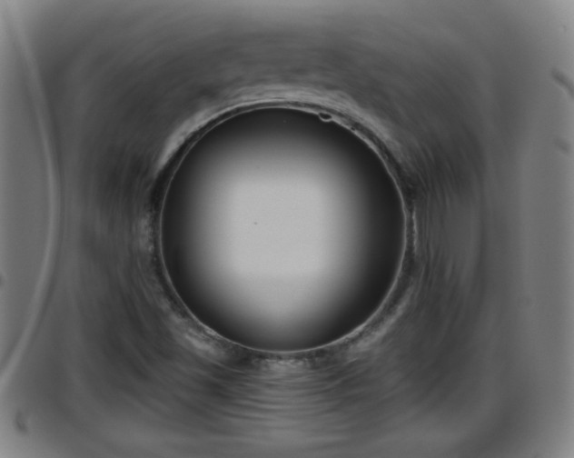 X0000096401501200801311339