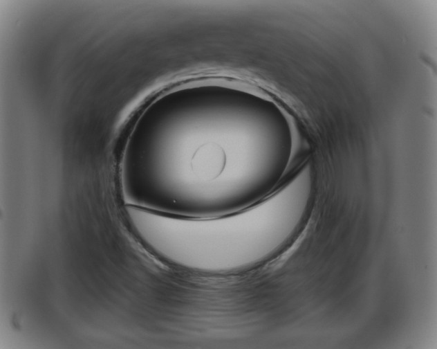 X0000096401502200801311339