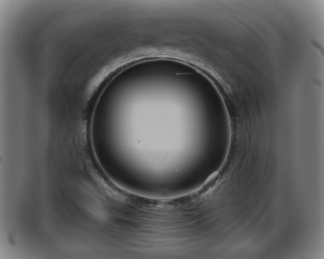 X0000096401503200801311339