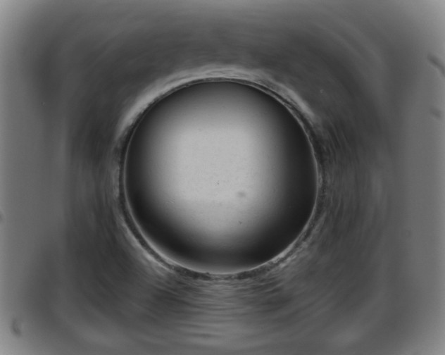 X0000096401504200801311339